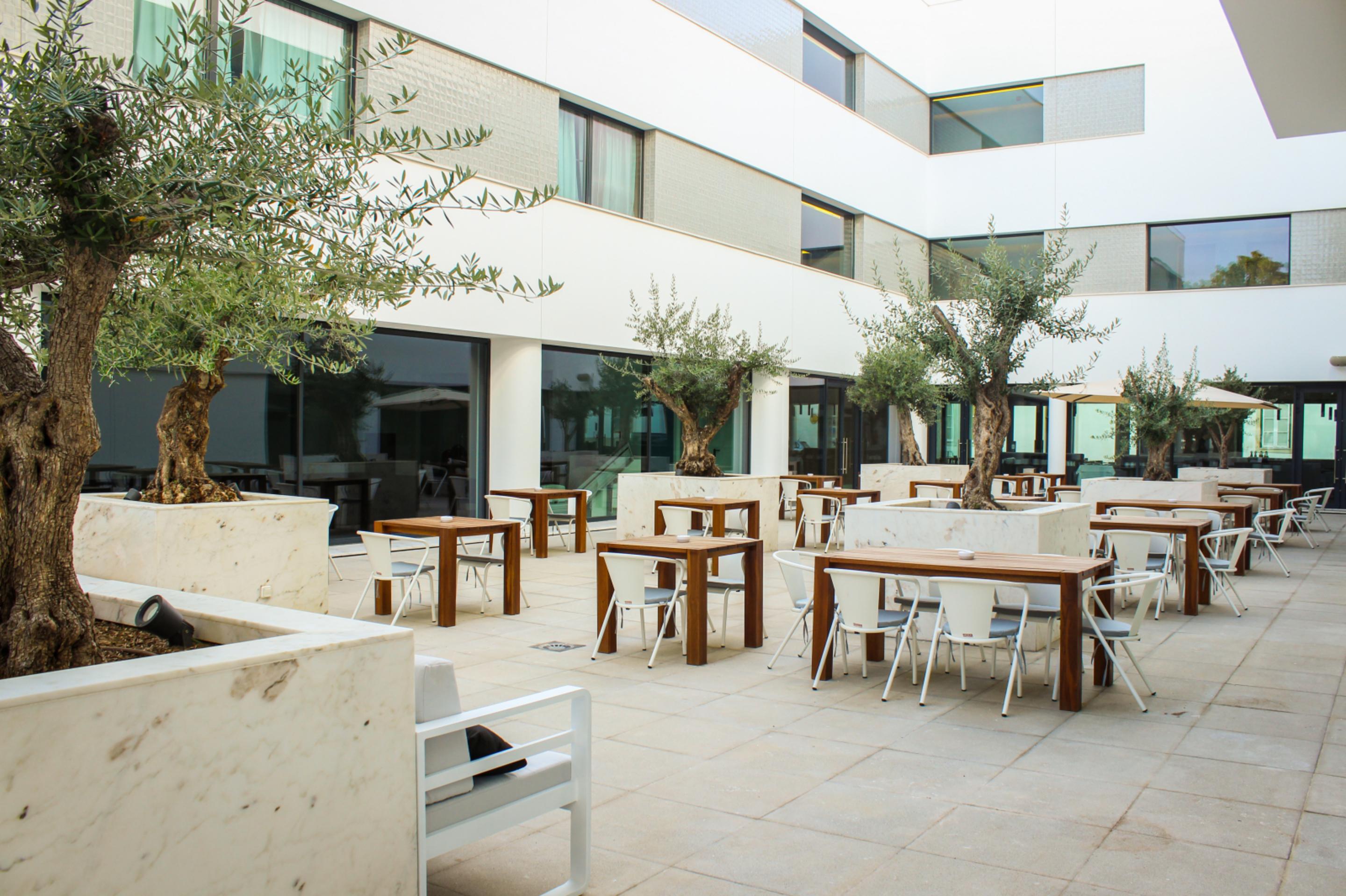 Hotel Olive