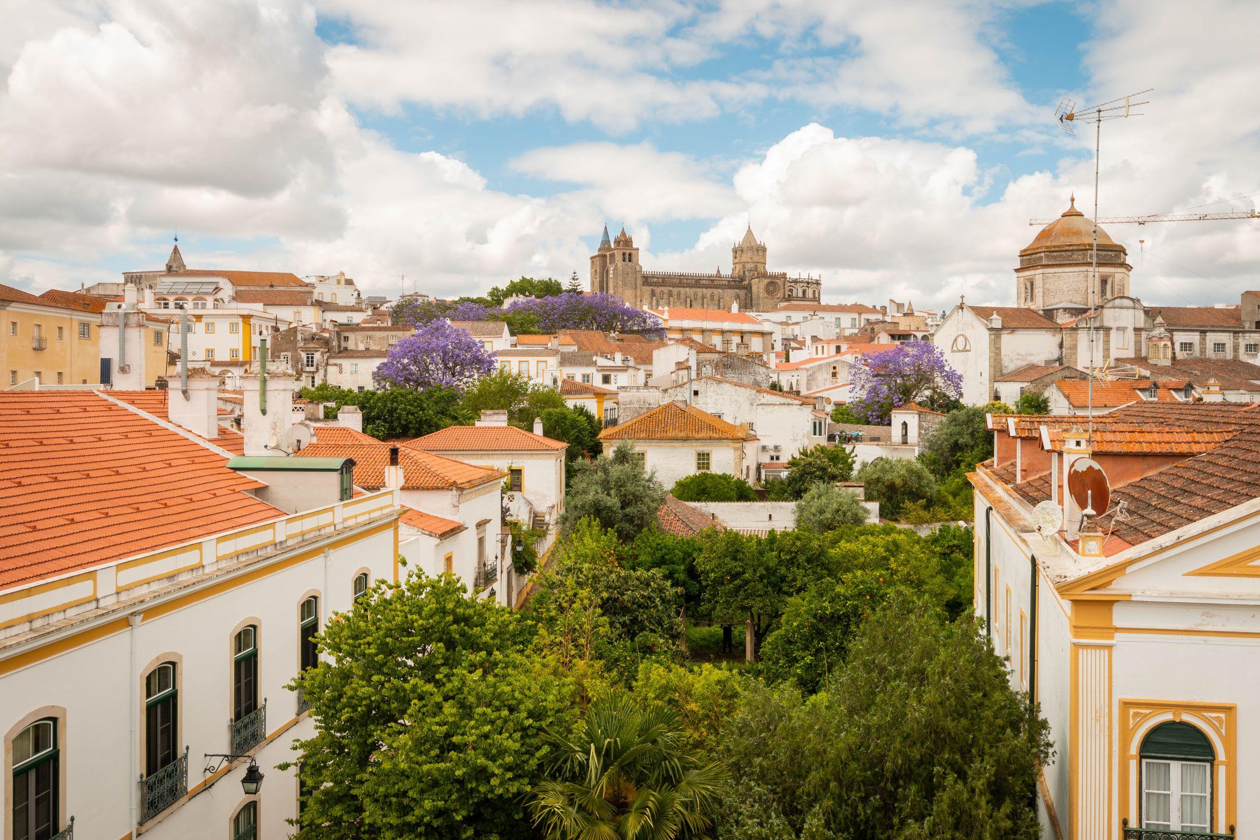 Olive 4* Évora